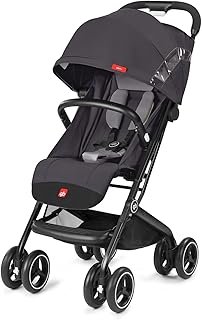 gb Gold Qbit+, Buggy, Kollektion 2018, silver fox grey