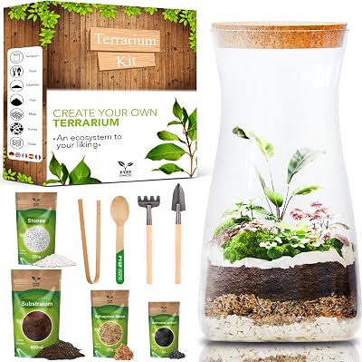PYEF CRAFTS DIY Terrarium Kit Starter Set Garden in Bottle