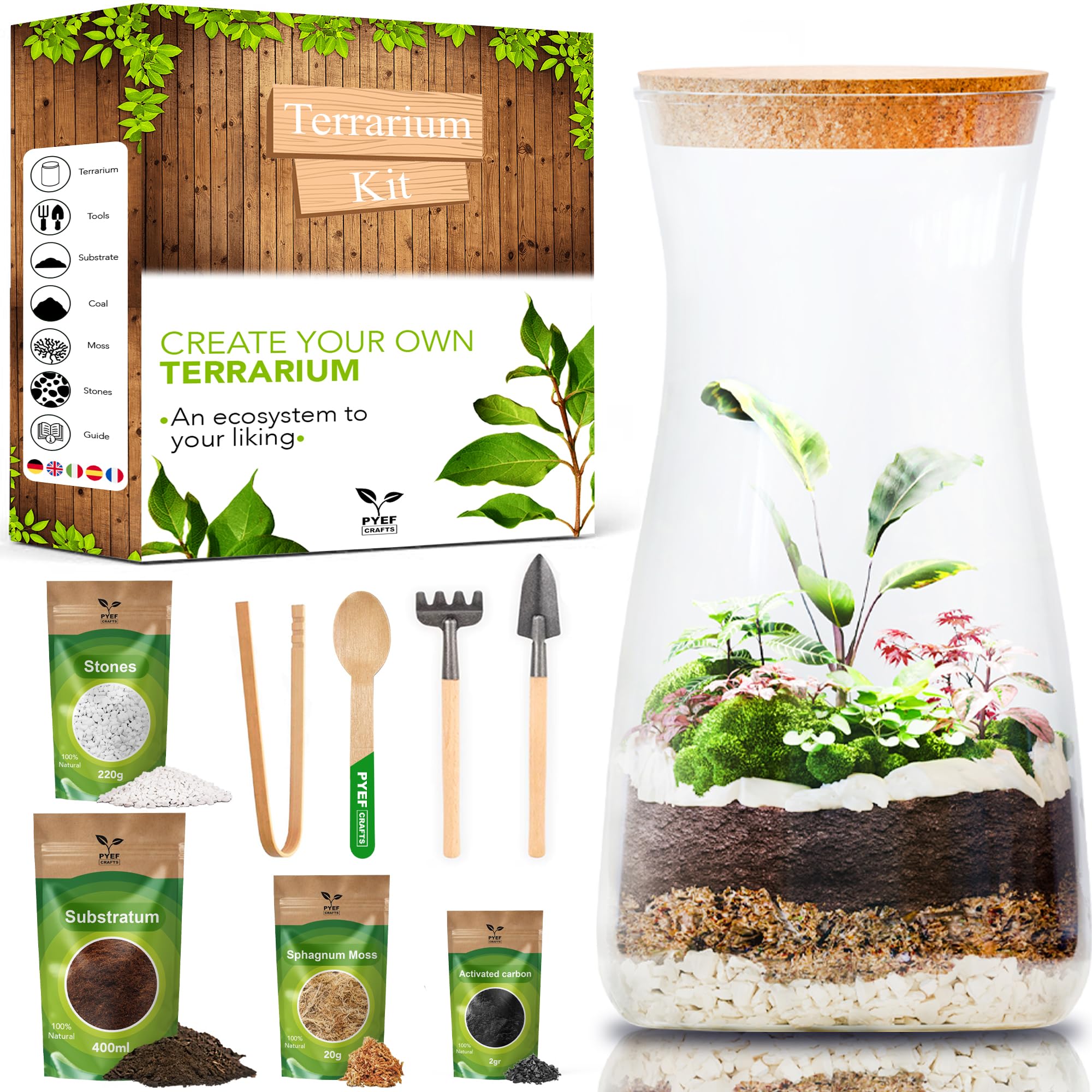 DIY Terrarium Kit for Plants - Starter Set for Garden in Bottle - Self Sustaining Ecosystem - Plant Terrarium Kit with Jar, Moss, Soil, Activated Charcoal, Stones and Tools (Without Plants)