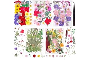 GVHNTK 180Pcs Dried Pressed Flowers Resin Mold Real Pressed Flowers Natural Dry Leaves Bulk Mixed Colorful Herbs Kit with Tweezers for Scrapbooking DIY Candle Jewelry Crafts Making Nails (Bright Color)