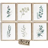 Botanical Prints Wall Art - Eucalyptus Leaves