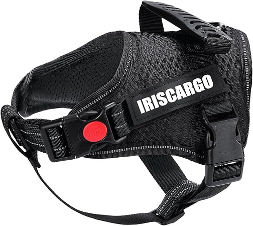 perfect fit harness amazon