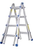 Werner 22 ladder