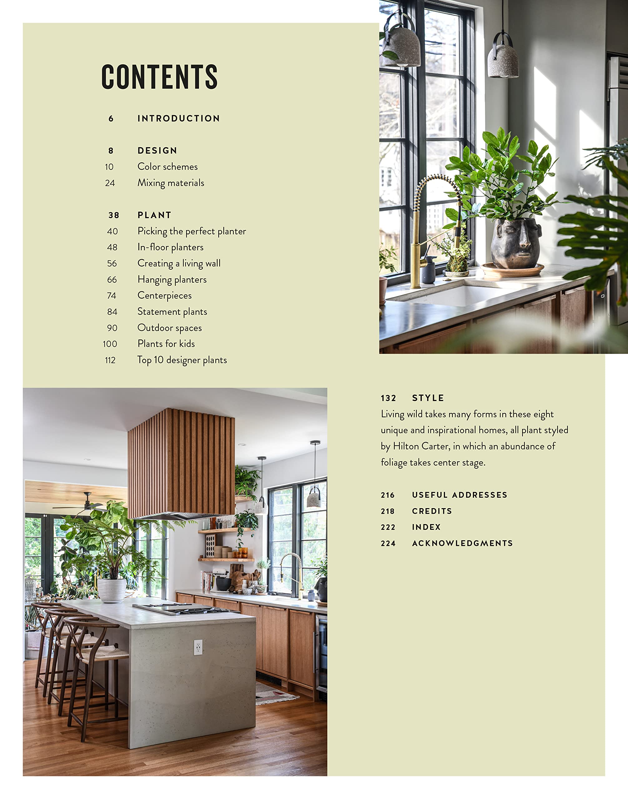 Living Wild: How to plant style your home and cultivate happiness Living Wild: How to plant style your home and cultivate happiness Hardcover