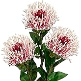 Hollyone 3Pcs Artificial Flowers Mums Spider Mum Flower 28.3'' Long Stem Fake Chrysanthemum Flowers Leucospermum Cordifolium Arrangement Faux Pincushion Flowers Bouquet for Home Decor Red & White