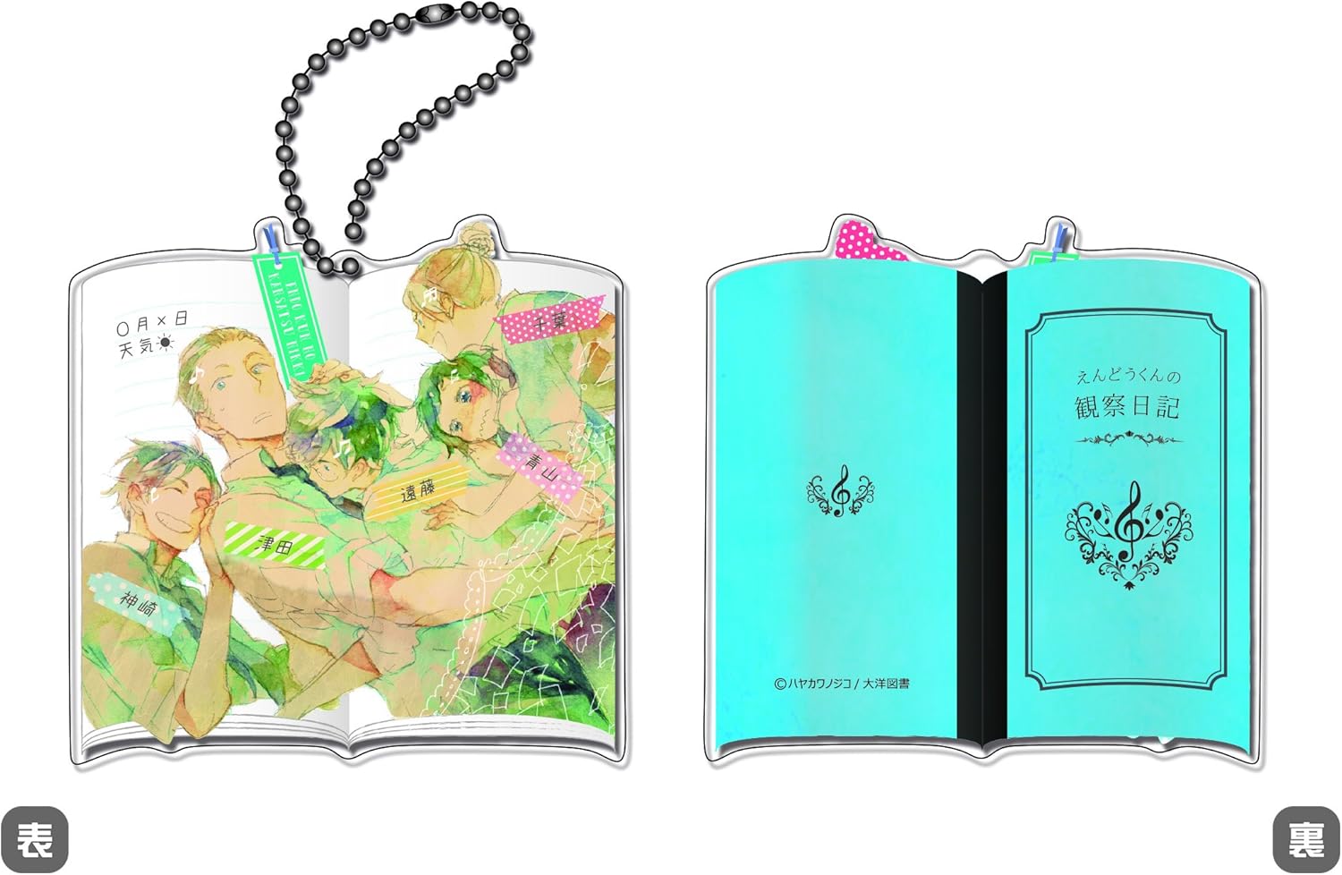 Amazon えんどうくんの観察日記 アクリルキーホルダー アニメ 萌えグッズ 通販