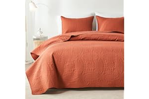 akkialla Queen Quilt Bedding Set,Burnt Orange Ultrasonic Full/Queen Quilt Set,Lightweight Soft Bedspread Coverlet,Modern Style Coin Pattern Bed Cover for All Seasons,3 Piece(1 Quilt,2 Pillow Shams)