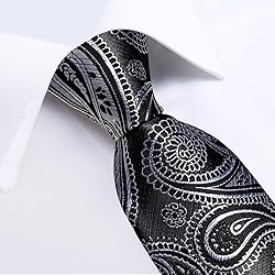 DiBanGu Silk Paisley Ties for Men Woven Necktie and