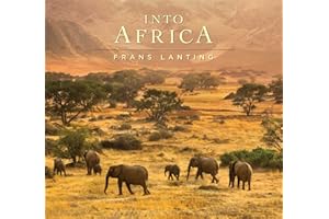 Into Africa