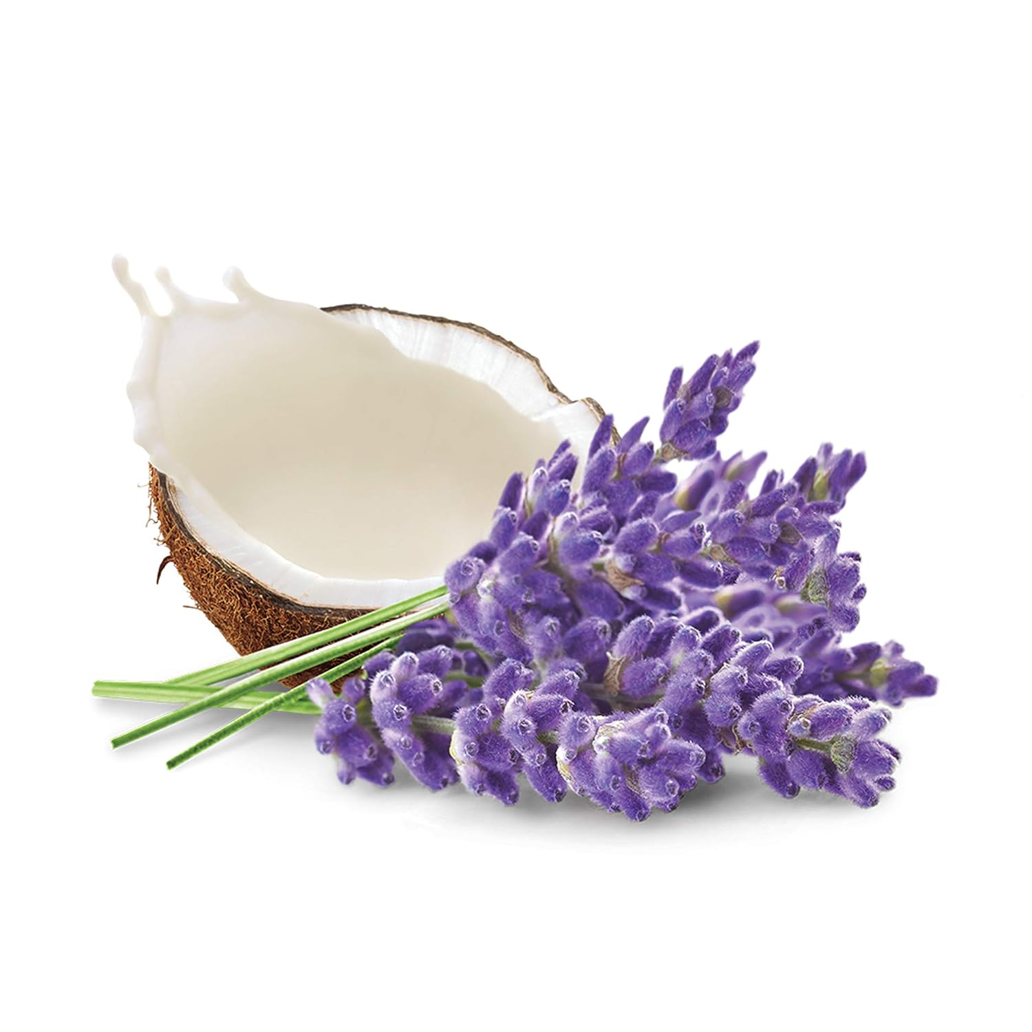 Dove Whipped Lavender and Coconut Milk Body Cream 10 oz: Beauty