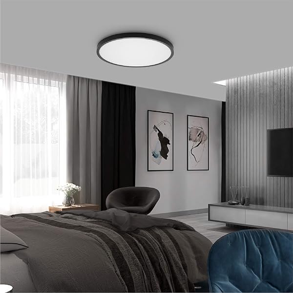 TALOYA LED CEILING LIGHT OFFICE BLACK,5 COLOR TEMPERATURES,15.8 INCH THIN FLAT MODERN FLUSH MOUNT LED LIGHT FIXTURE FOR LIVING ROOM,24W ROUND