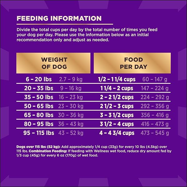 WELLNESS CORE+ ADULT DRY DOG FOOD WITH FREEZE DRIED PIECES, WHOLESOME GRAIN KIBBLE+, NATURAL, HIGH PROTEIN, TURKEY AND CHICKEN RECIPE, 4 LB BAG
