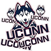 Desert Cactus University of Connecticut Sticker Huskies UConn Vinyl Decals Laptop Water Bottle Car Scrapbook T3 (Type 3-5)