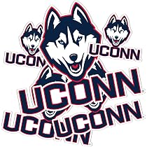 Desert Cactus University Of Connecticut Huskies Stickers - Vinyl Decals For Laptop, Car, Water Bottle (Type 3-5)
