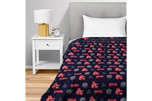 Northwest Dungeons & Dragons NAT D20 Full/Queen Quilted Blanket, Comfy Throw, Soft Lightweight Bedding for Bed, or Couch, 90 x 90 inches