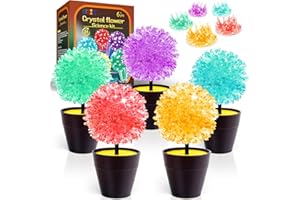 GobiDex 24-Hour 5-Set Crystal Growing Science Experiment Kit for Family Learning, STEM Project Science Toys, Educational Gifts for Kids Ages 6-12 Boys and Girls