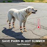 BEAUTYZOO Anti Slip Dog Socks 3 Pairs Small Medium Non-Slip Shoes view 3