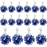 Gosknor 16pcs Cheer Pom Pom Keychain, Cheer Keychains for Backpacks Plastic Metal Pom Pom Keyring Shining Pom Pom Tags Cheer Cheerleading Gifts for Cheerleaders Women