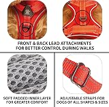 Elite Paws UK Premium Metal Buckle Dog Harness Red Small view 5