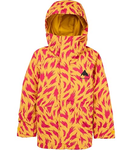 Amazon.com: Roxy American Pie Insulated Snowboard Jacket Girls