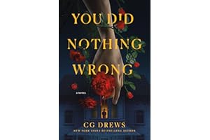 You Did Nothing Wrong: A Novel