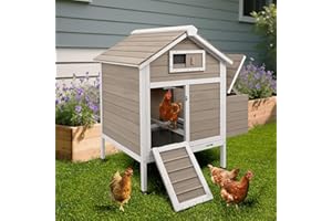 Magazoopet Large Chicken House Outdoor with 2 Nesting Box, Small Wood Chicken Coop Hen House with Removable Trays, Ramp, Outdoor Indoor Rabbit Hutch Poultry Cage (32" L x 23.6" W x 36.6" H)