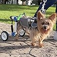 LetPetRun Dog Wheelchair, Adjustable Dog Wheelchair for Back Legs, Stable Dog Cart for Disabled Hind Legs, Help Small Pets with Paralyzed Hind Legs Regain Mobility
