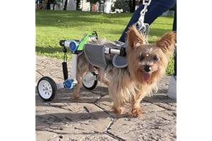 LetPetRun Dog Wheelchair, Adjustable Dog Wheelchair for Back Legs, Stable Dog Cart for Disabled Hind Legs, Help Small Pets with Paralyzed Hind Legs Regain Mobility