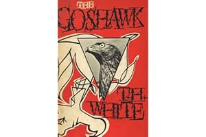 The Goshawk