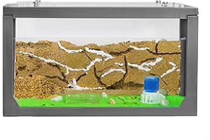 AntHouse - 3D Sand Ant Hill | Grey Starter Kit 7.87 x 3.94 x 3.94 in | Ant Farm