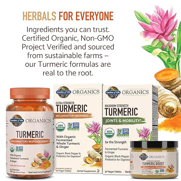 GARDEN OF LIFE ORGANICS GOLDEN MILK RECOVERY & NOURISHMENT POWDER – 44MG TURMERIC CURCUMIN (95% CURCUMINOIDS), ASHWAGANDHA – ORGANIC NON-GMO VEGAN & GLUTEN FREE HERBAL SUPPLEMENTS, 30 SERVINGS
