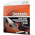 D'Addario Guitar Strings - Acoustic Guitar Strings - Flat Tops Phosphor Bronze - For 6 String Guitar - Warm, Semi-Bright Tone - EFT13 - Resophonic Guitar, 16-56