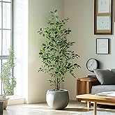 Bailikang Artificial Ficus Tree Indoor 5ft, Large Potted Faux Tree with Realistic Silk Leaves & Trunk for Home Office, Living Room Corner Decor