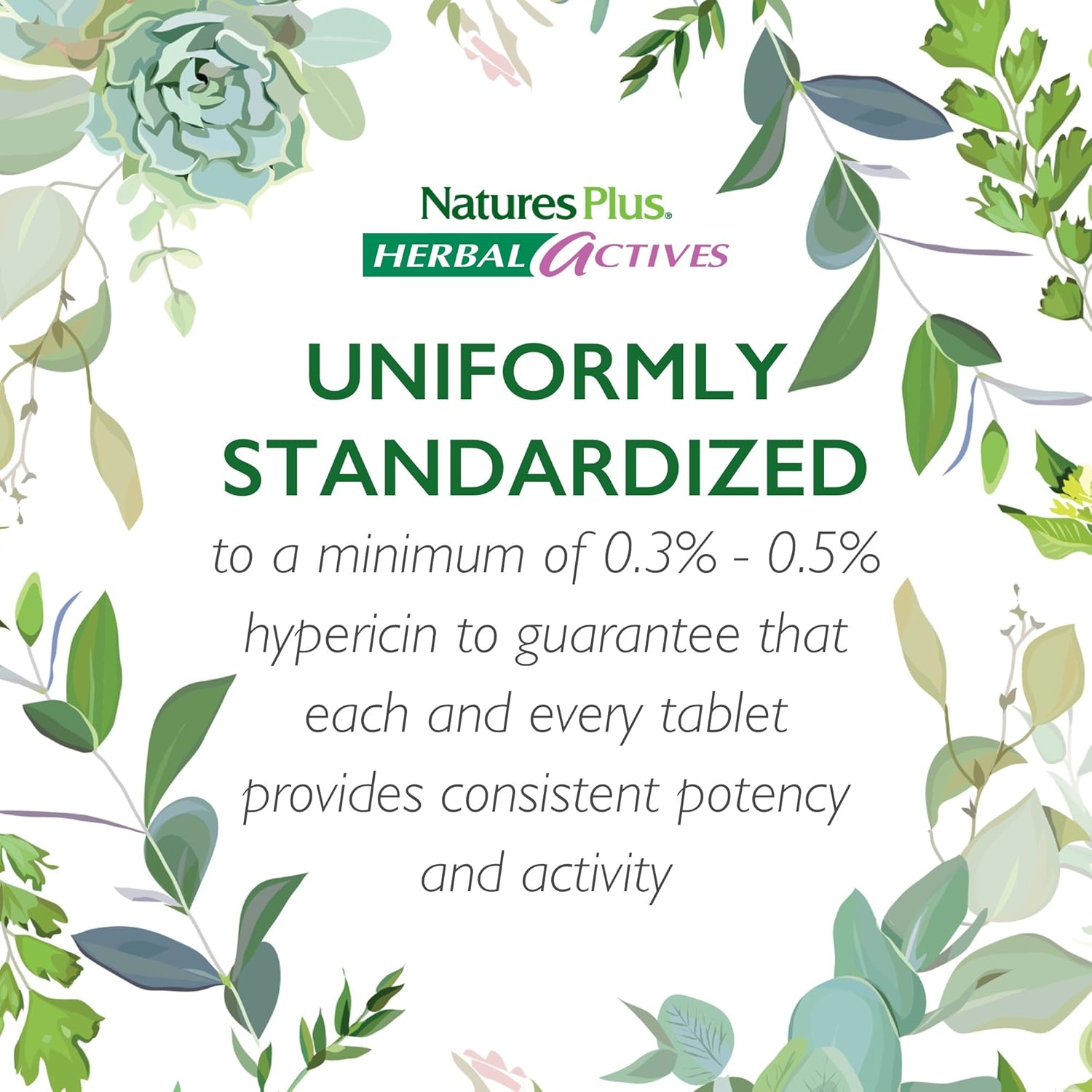 NaturesPlus Herbal Actives St John's Wort, Extended Release - 450 mg, 60 Vegan Tablets - Natural Mood Enhancer Supplement - Vegetarian, Gluten-Free - 60 Servings: Health & Personal Care