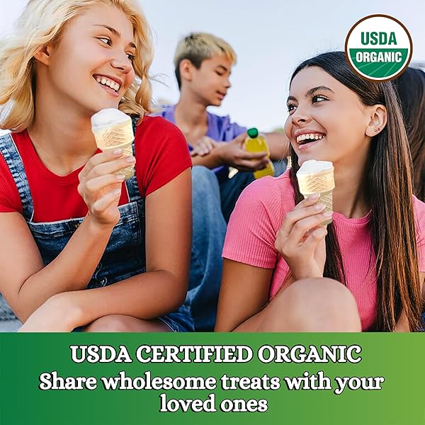 LETS DO ORGANIC ICE CREAM CONES – SUGAR CONES FOR ICE CREAM, MINI ICE CREAM CONES, ICE CREAM CUPS, CRISPY CONES, MINI CAKE CONES – 1.2 OZ (PACK OF 1)