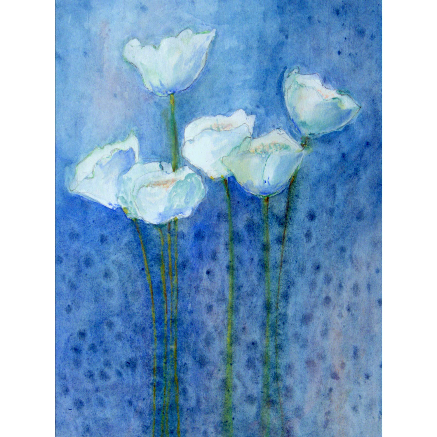 Flower White Tulips On Blue Large Wall Art Print Canvas Premium Poster