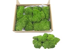 FAICOIA Preserved Pillow Moss Bulk Green Moss Balls for Bowls Natural Green Decorative 1.29 sq.ft Preserved Pole Moss Pillow for Wall Art Terrariums Crafts Fairy Gardens Pot Plants Easter Table Decor