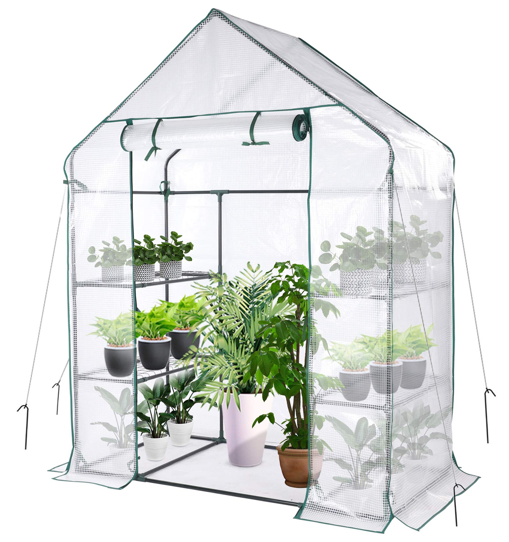 Greenhouse,Indoor and Outdoor Greenhouse,Portable Greenhouse with Anchors and Ropes,Grow Plants Seedlings Herbs or Flowers(56"×30"×76")