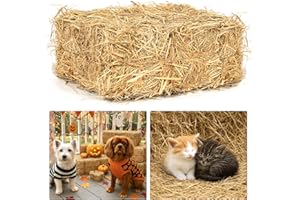 BOBBLET Natural Wheat Straw – 3 LB Clean Dry Straw Bale for Stray Cats & Dogs, Soft Straw Bedding for Cat Shelter, Hay Bales for Decoration, Yard or Farm Use