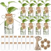 Ysglory 24 Pack 3.54'' Plant Propagation Stations 4oz Plastic Propagation Jars Planter Hydroponic Vase with Hole Lid and Thank You Tags for Plant Lovers Office Home Garden
