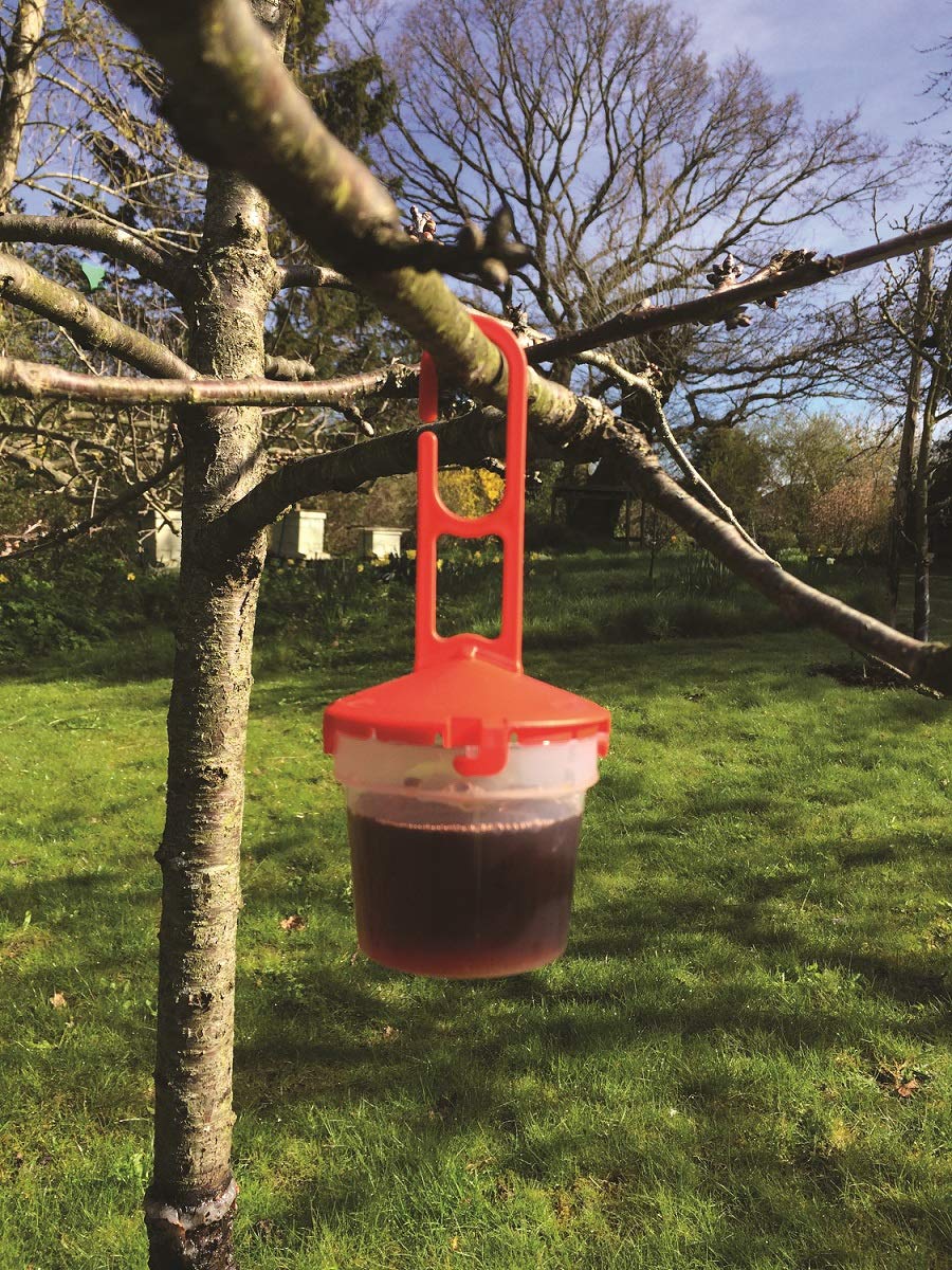 Agralan SWD TRAP REFILL | Spotted Wing Drosophila Protect Soft Fruit & Cherries Crops | (SWD Trap Attractant 250ml)