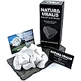 Natura Uralis Premium Belgorod chalk chunks | 3.5 oz of White Chalk Chunks - Amazing Crunch, Satisfying Earthy, Velvety and Firm Texture, ASMR Sensation, Natural Calcium Carbonate