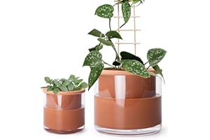 Phoenix Vine 4 Inch 6 Inch Self Watering Plants Pots, Design Terracotta Pots for Plants, Indoor Cylinder Terra Cotta Planter with Glass Vase Set, 51-A-G