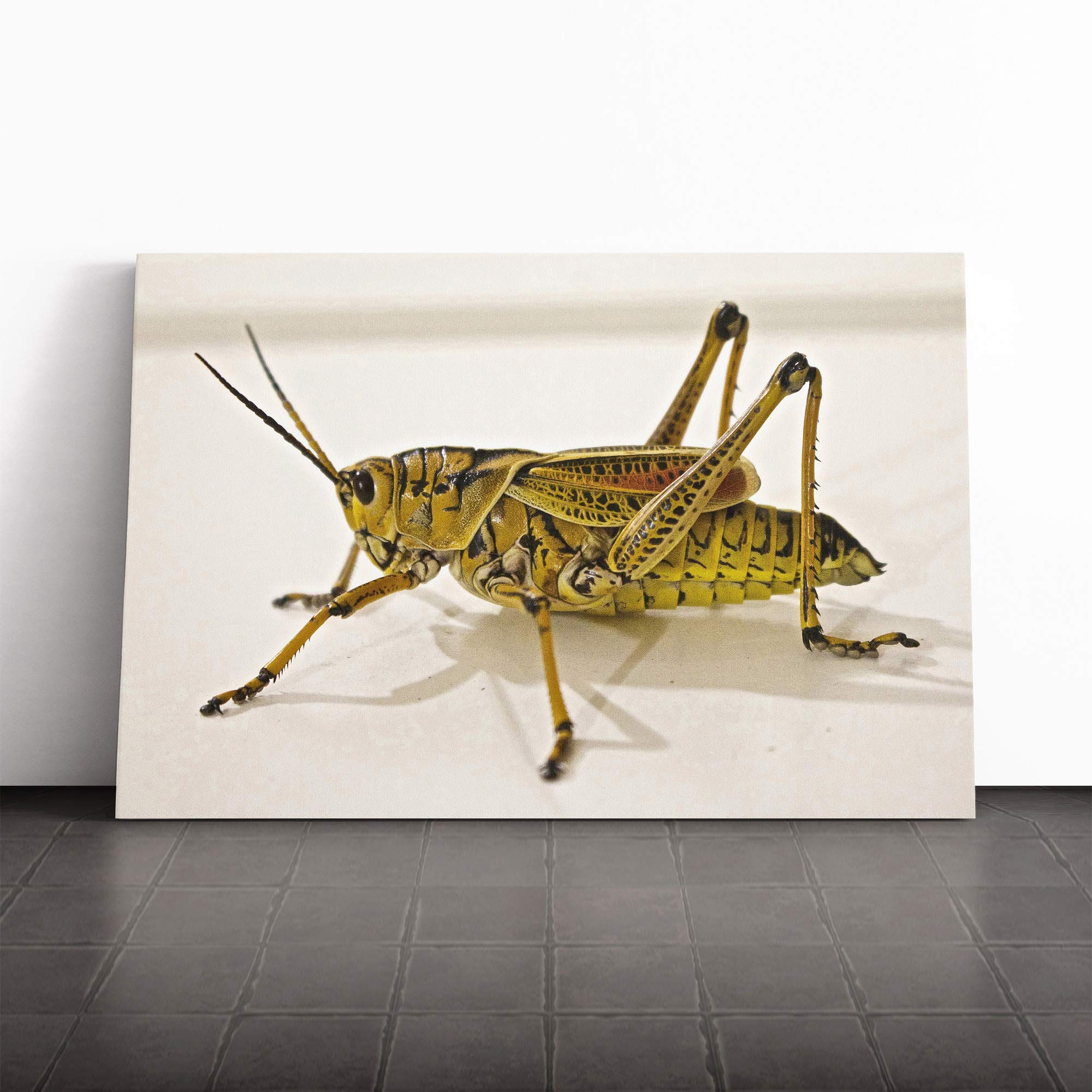 Grasshopper (2) Canvas Print | Gallery Wrapped 30mm Frame Wall Art | 20x14 inches | Ready to Hang | Modern Picture | Living Room Bedroom Lounge Office