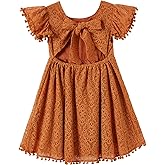 Niyage Backless Toddler Dress Open Back Girls Lace Bow Tie-Back Pom Pom Flutter Sleeves Party Princess Dresses