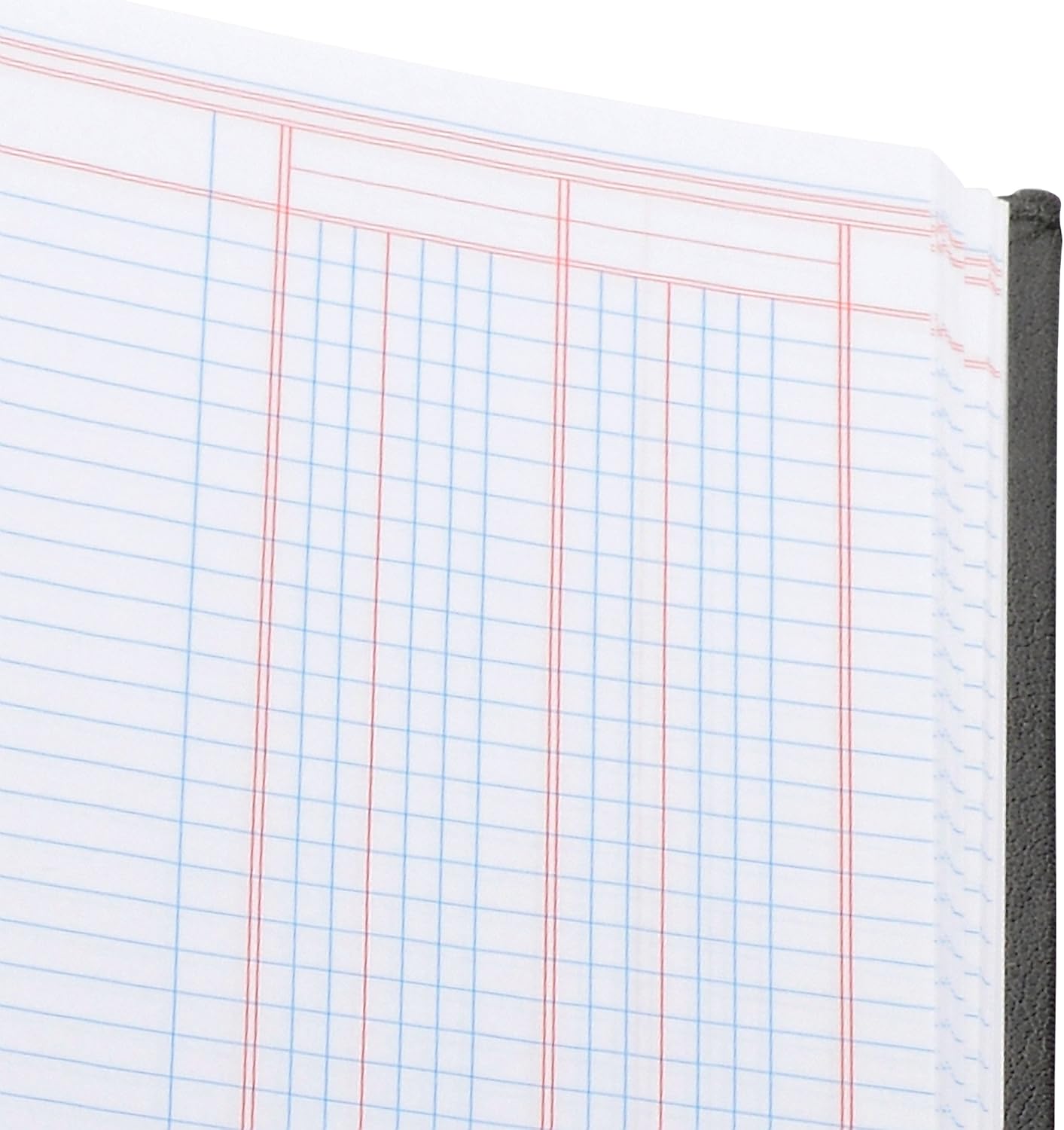 Wilson Jones Hardbound Accounting Journal, 9.25 x 7 Inches, 2 Columns, 80 Pages, 30 Lines per Page, Black (W74102A) : Office Products : Office Products