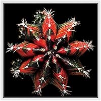 SIGNWIN Framed Canvas Wall Art Red Variegated Gymnocalycium Mihanovichii Glory Cactus Botanical Succulent Photography Realism Modern Closeup Fun for Living Room, Bedroom, Office - 16x16 inches