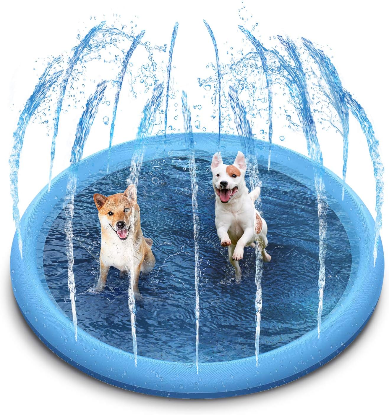 outdoor toys for dogs