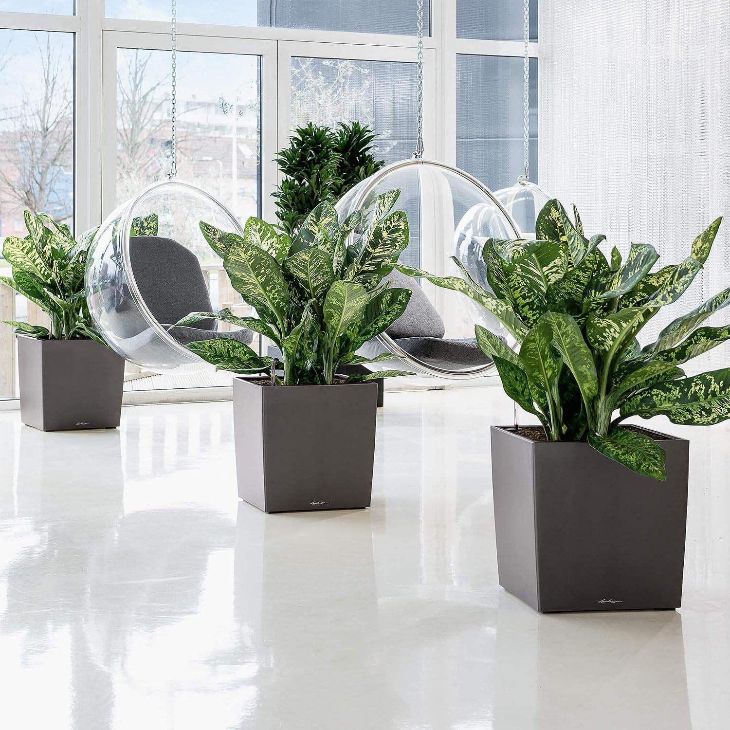 Lechuza Self Watering Plant Pot CUBE 50 Garden Flower Indoor and Outdoor Large Plastic Planter with Drainage Hole H50 L50 W50 cm White High-Gloss - Image 5