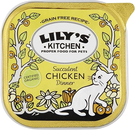 lily's kitchen organic cat food